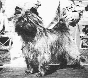 Cairn Terrier Club of Canada History